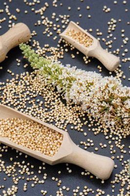 Quinoa: Una Proteina Vegetale di Eccellenza per la Produzione Alimentare Moderna!